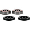 Pivot Works Honda, Hyosung, Suzuki Wheel Bearing Kit Premium Bearings - 25-1045-P Photo - Primary