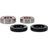 Pivot Works Honda Wheel Bearing Kit Premium Bearings - 25-1050-P Photo - Primary