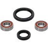 Pivot Works Suzuki Wheel Bearing Kit Premium Bearings - 25-1051-P Photo - Primary