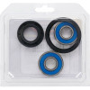Pivot Works Honda, KTM Wheel Bearing Kit Premium Bearings - 25-1069-P Photo - Primary