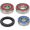 Pivot Works Honda, KTM Wheel Bearing Kit Premium Bearings - 25-1087-P Photo - Primary