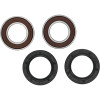 Pivot Works Yamaha Wheel Bearing Kit Premium Bearings - 25-1090-P Photo - Primary