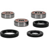 Pivot Works Yamaha Wheel Bearing Kit Premium Bearings - 25-1095-P Photo - Primary