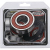 Pivot Works Suzuki Wheel Bearing Kit Premium Bearings - 25-1097-P Photo - Primary