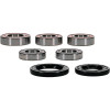 Pivot Works Kawasaki Wheel Bearing Kit Premium Bearings - 25-1099-P Photo - Primary