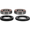 Pivot Works Yamaha Wheel Bearing Kit Premium Bearings - 25-1109-P Photo - Primary