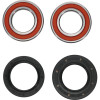 Pivot Works Yamaha Wheel Bearing Kit Premium Bearings - 25-1109-P Photo - Primary
