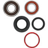 Pivot Works Honda Wheel Bearing Kit Premium Bearings - 25-1203-P Photo - Primary