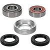 Pivot Works Honda Wheel Bearing Kit Premium Bearings - 25-1217-P Photo - Primary