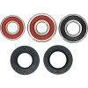 Pivot Works Honda, Hyosung, Yamaha Wheel Bearing Kit Premium Bearings - 25-1232-P Photo - Primary