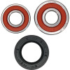 Pivot Works Suzuki, Yamaha Wheel Bearing Kit Premium Bearings - 25-1244-P Photo - Primary