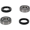 Pivot Works Kawasaki Wheel Bearing Kit Premium Bearings - 25-1253-P Photo - Primary