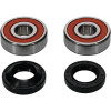 Pivot Works Honda, Suzuki Wheel Bearing Kit Premium Bearings - 25-1306-P Photo - Primary