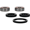 Pivot Works Honda, Yamaha Wheel Bearing Kit Premium Bearings - 25-1319-P Photo - Primary