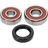 Pivot Works Honda Wheel Bearing Kit Premium Bearings - 25-1335-P Photo - Primary