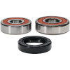 Pivot Works Honda Wheel Bearing Kit Premium Bearings - 25-1335-P Photo - Primary