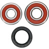 Pivot Works Honda Wheel Bearing Kit Premium Bearings - 25-1335-P Photo - Primary