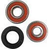 Pivot Works Honda Wheel Bearing Kit Premium Bearings - 25-1342-P Photo - Primary