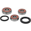 Pivot Works Yamaha Wheel Bearing Kit Premium Bearings - 25-1360-P Photo - Primary