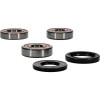 Pivot Works Kawasaki Wheel Bearing Kit Premium Bearings - 25-1390-P Photo - Primary