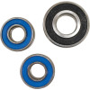 Pivot Works Suzuki Wheel Bearing Kit Premium Bearings - 25-1440-P Photo - Primary