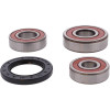 Pivot Works Kawasaki Wheel Bearing Kit Premium Bearings - 25-1489-P Photo - Primary