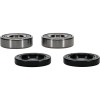 Pivot Works BMW, Honda Wheel Bearing Kit Premium Bearings - 25-1491-P Photo - Primary