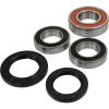 Pivot Works Yamaha Wheel Bearing Kit Premium Bearings - 25-1493-P Photo - Primary