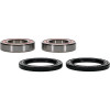 Pivot Works Can-Am Wheel Bearing Kit Premium Bearings - 25-1495-P Photo - Primary
