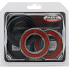 Pivot Works CF-Moto, Ducati, Polaris Wheel Bearing Kit Premium Bearings - 25-1499-P Photo - Primary