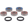 Pivot Works Yamaha Wheel Bearing Kit Premium Bearings - 25-1505-P Photo - Primary