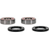 Pivot Works Honda Wheel Bearing Kit Premium Bearings - 25-1511-P Photo - Primary
