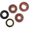 Pivot Works Yamaha Wheel Bearing Kit Premium Bearings - 25-1544-P Photo - Primary