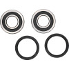 Pivot Works TM Wheel Bearing Kit Premium Bearings - 25-1548-P Photo - Primary