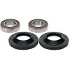 Pivot Works TM Wheel Bearing Kit Premium Bearings - 25-1549-P Photo - Primary