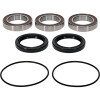 Pivot Works Kawasaki Wheel Bearing Kit Premium Bearings - 25-1560-P Photo - Primary