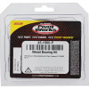 Pivot Works Kawasaki Wheel Bearing Kit Premium Bearings - 25-1560-P Photo - Primary