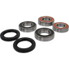 Pivot Works Honda Wheel Bearing Kit Premium Bearings - 25-1563-P Photo - Primary