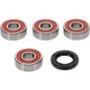 Pivot Works Suzuki Wheel Bearing Kit Premium Bearings - 25-1573-P Photo - Primary