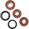 Pivot Works Triumph Wheel Bearing Kit Premium Bearings - 25-1587-P Photo - Primary