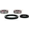 Pivot Works Triumph Wheel Bearing Kit Premium Bearings - 25-1590-P Photo - Primary