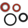 Pivot Works Honda Wheel Bearing Kit Premium Bearings - 25-1596-P Photo - Primary
