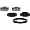 Pivot Works Honda Wheel Bearing Kit Premium Bearings - 25-1597-P Photo - Primary