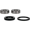 Pivot Works BMW, Honda Wheel Bearing Kit Premium Bearings - 25-1601-P Photo - Primary