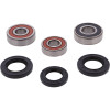 Pivot Works Cagiva, Honda Wheel Bearing Kit Premium Bearings - 25-1605-P Photo - Primary