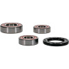 Pivot Works Suzuki Wheel Bearing Kit Premium Bearings - 25-1609-P Photo - Primary