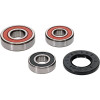 Pivot Works Suzuki Wheel Bearing Kit Premium Bearings - 25-1610-P Photo - Primary