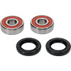 Pivot Works Honda, Yamaha Wheel Bearing Kit Premium Bearings - 25-1640-P Photo - Primary
