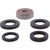 Pivot Works CF-Moto, Honda Wheel Bearing Kit Premium Bearings - 25-1643-P Photo - Primary