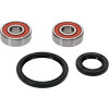 Pivot Works Honda, Kymco, Suzuki Wheel Bearing Kit Premium Bearings - 25-1644-P Photo - Primary